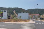 9082-3010.jpg