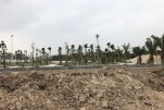 a5noxhthuongthanh21qbxr-7503.jpg