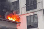 chay-9500.gif