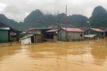 quanginh-4903.jpeg