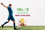 thongtinbanquyentaixoilactv-6042.jpg