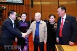 ttxvnphutrong13279-6881.jpeg