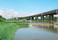 Bất động sản TP.HCM: Huyện lên đời chỉ là cái cớ để giới đầu cơ địa ốc làm giá