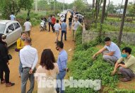 Đủ chiêu trò bán đất rừng, đất ruộng... trong cơn sốt đất quay cuồng